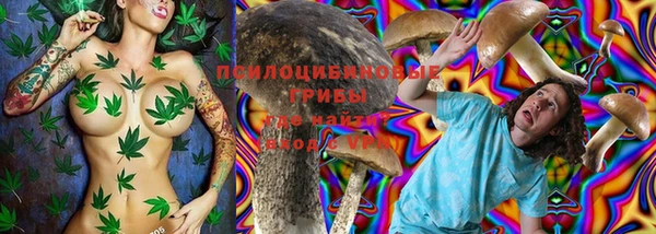 не бодяженный Арсеньев