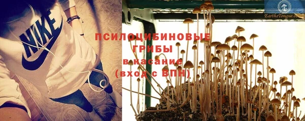 не бодяженный Арсеньев