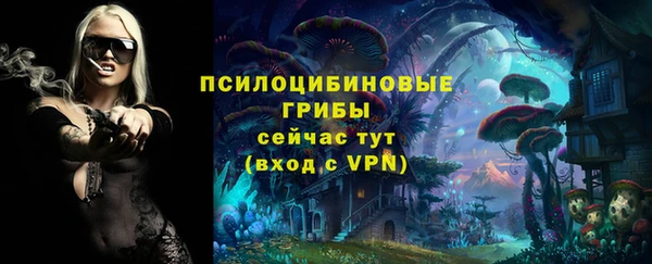 мяу мяу мука Аркадак