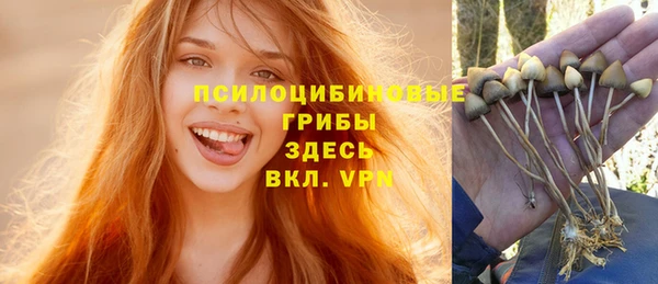 гашик Армянск